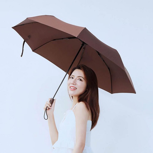 Xiaomi LSD Umbrella Brown (LSDQYS03XM)