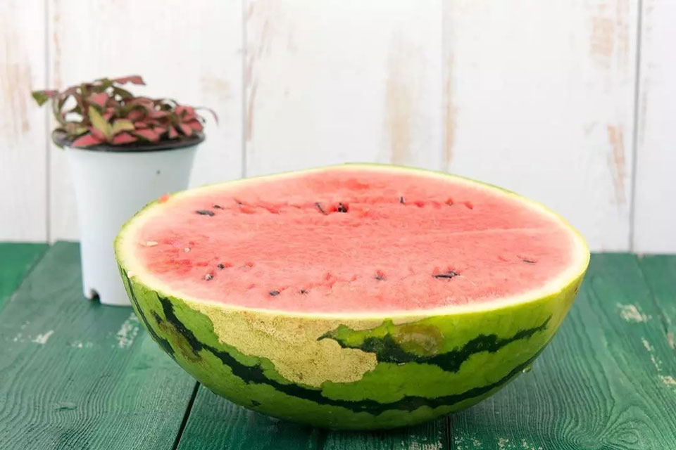 watermelon