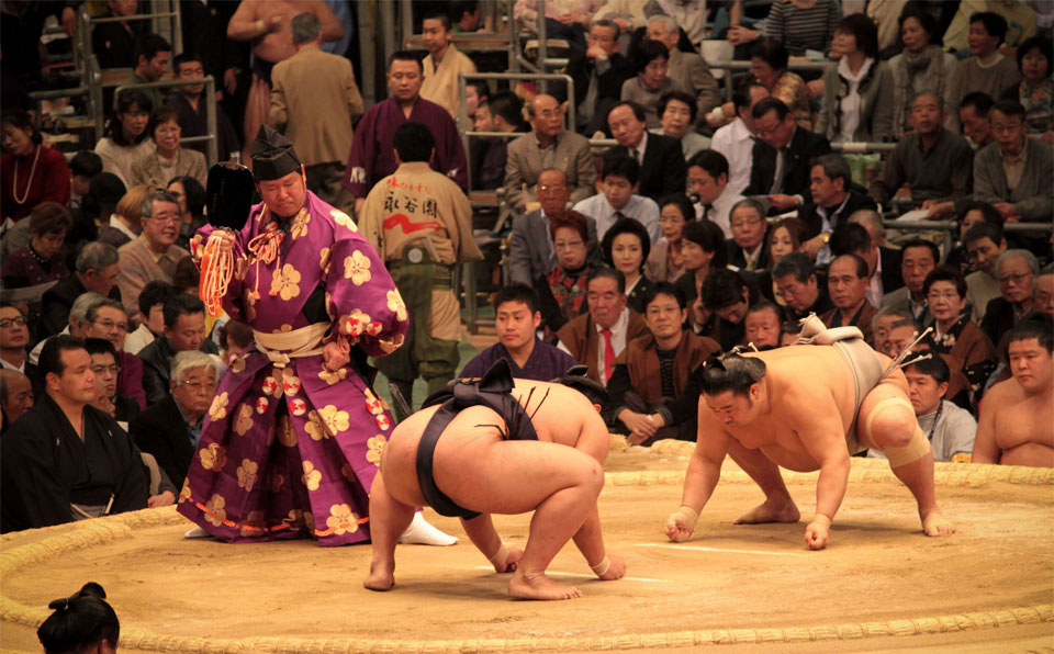 Sumo wrestlers